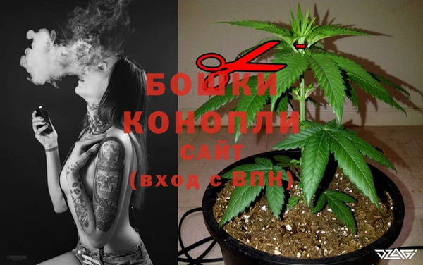 дистиллят марихуана Магас