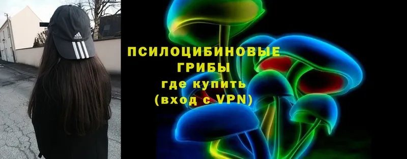 Псилоцибиновые грибы Magic Shrooms  Заволжск 